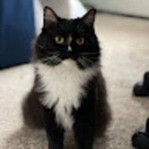 Meet your Posher, Catherine